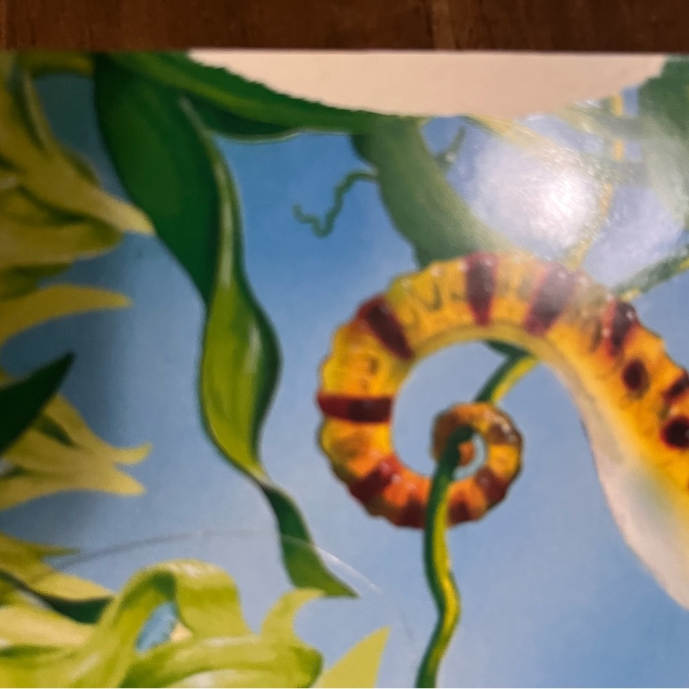 Usborne Book bundle - Picture 10 of 10